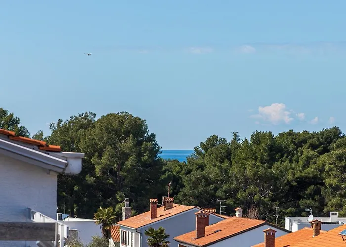 Ada Near The Sea 3* 포레치